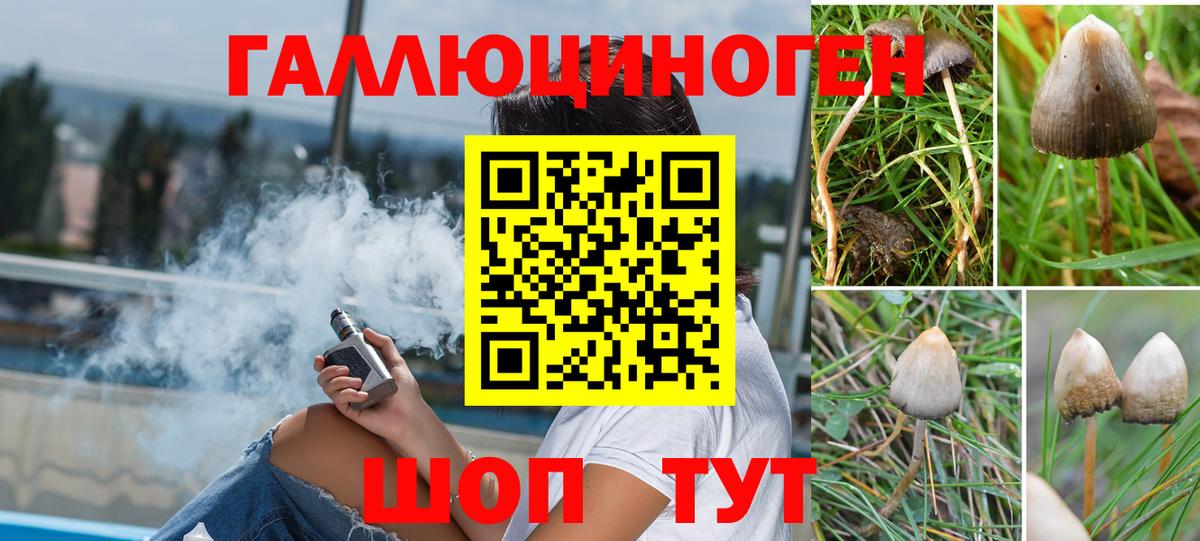Галлюциногенные грибы мицелий  Вход с VPN  Псилоцибиновые грибы Psilocybine cubensis  Александров 